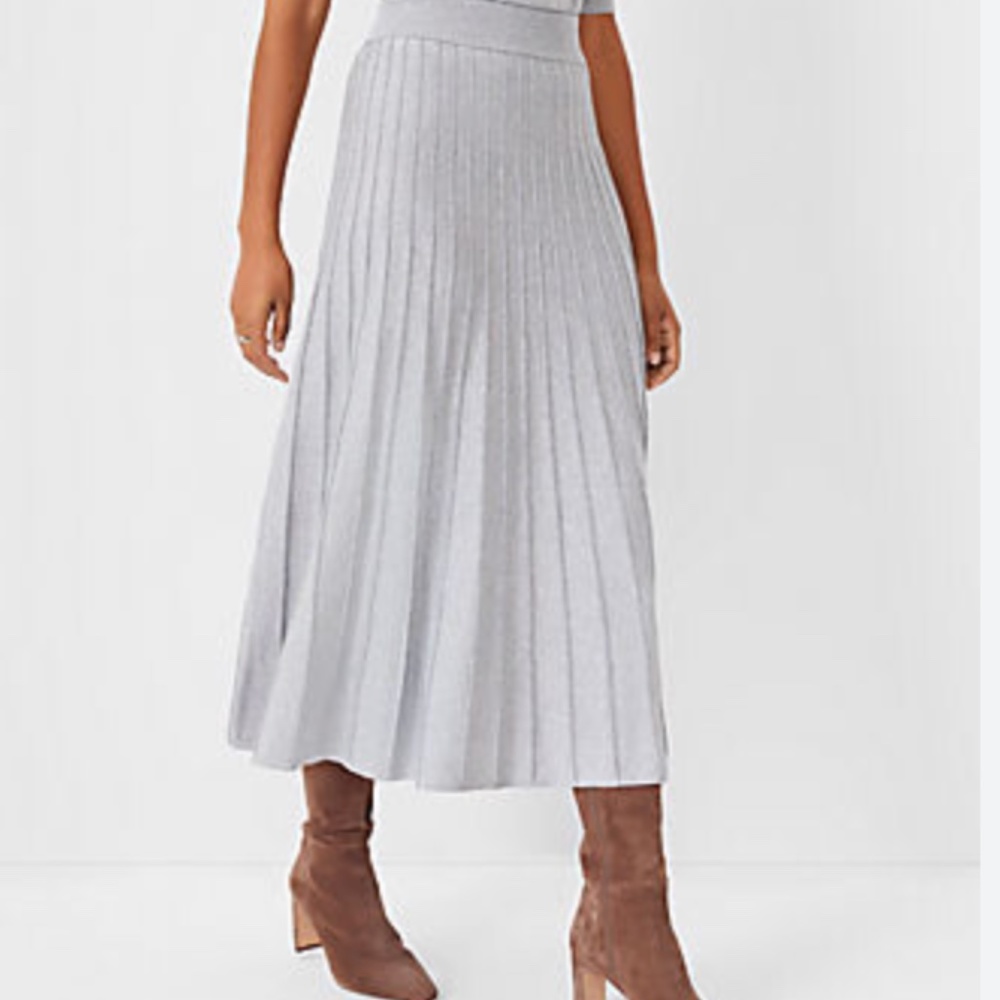 Pale grey skirt with shimmer. From Ann Taylor- beautiful, but too long 4 me